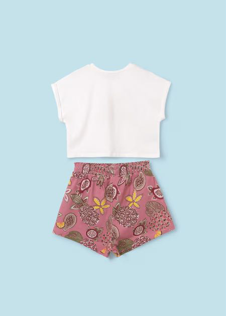 Conjunto short básica