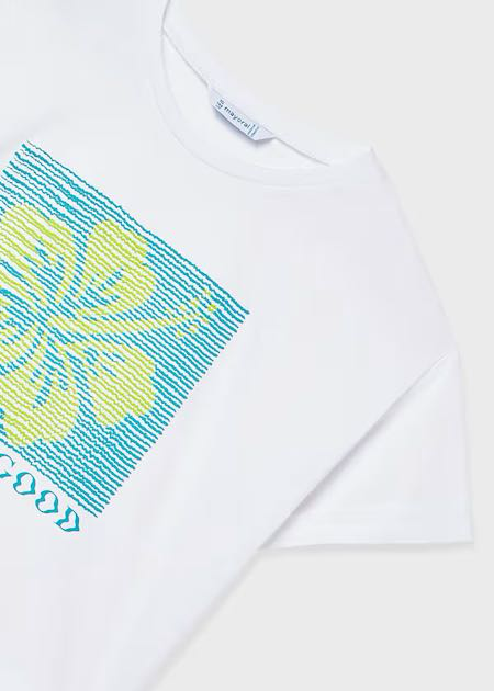 Camiseta m/c grafica