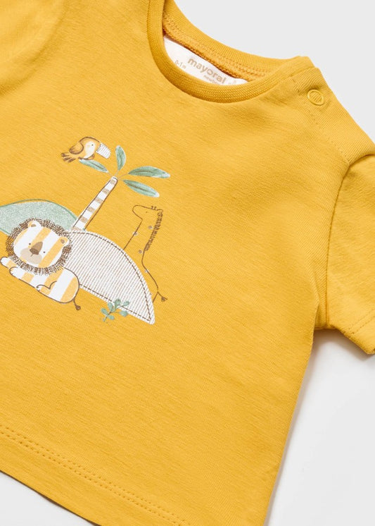 Camiseta m/c